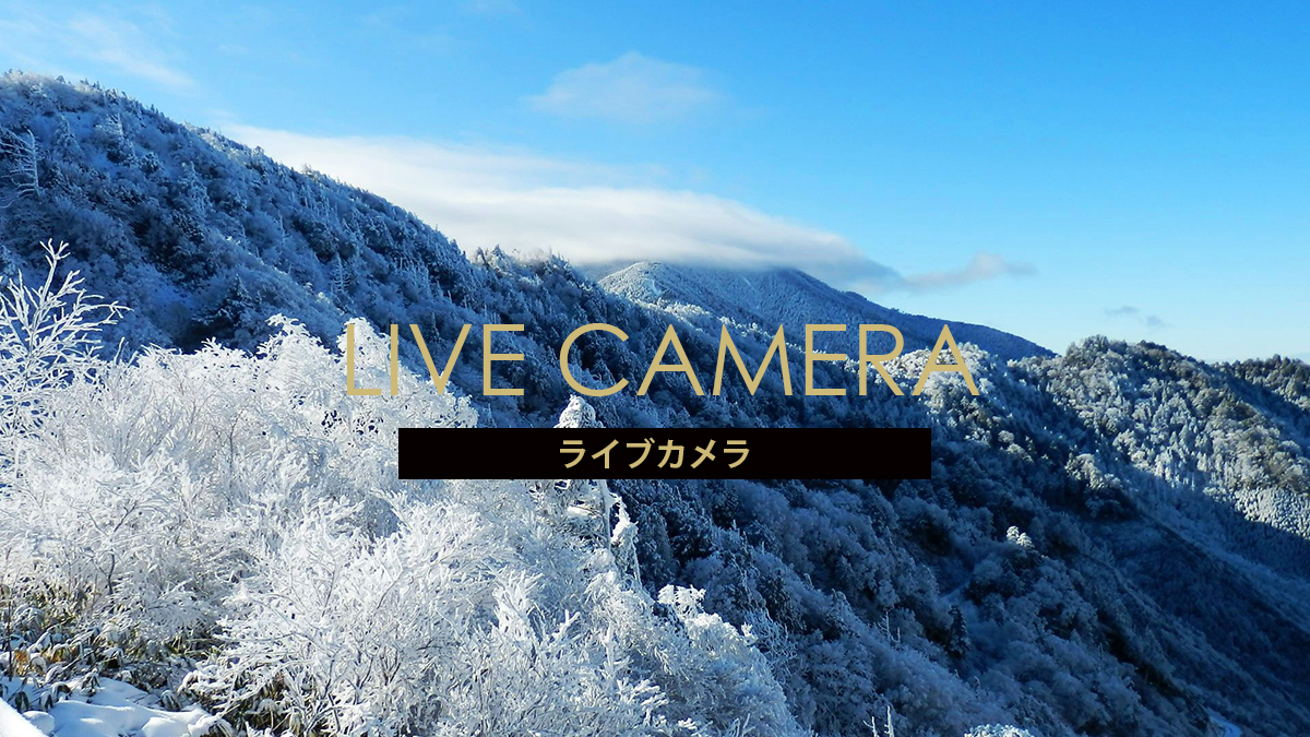 みなかみ 高原 スキー 場 ライブ カメラ