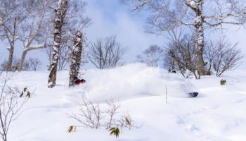ニセコモイワスキーリゾート｜スキー場、おすすめコースガイド ｜天気予報・リフト券購入・コースマップ