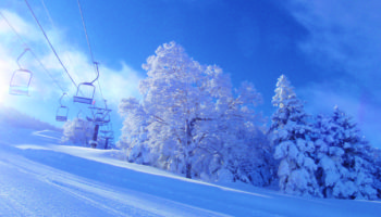 天元台高原｜スキー場、おすすめコースガイド ｜天気予報・リフト券購入・コースマップ