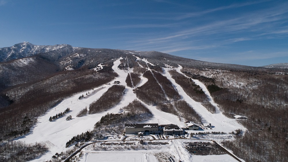 パルコール嬬恋リゾート｜スキー場、おすすめコースガイド ｜天気予報