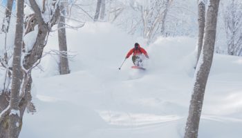 斑尾高原スキー場｜スキー場、おすすめコースガイド ｜天気予報・リフト券購入・コースマップ