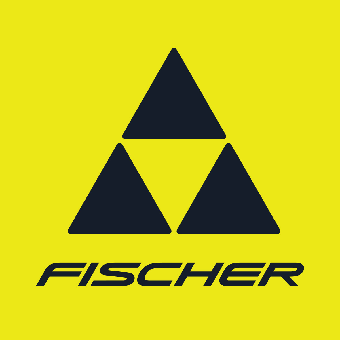 FISCHER（フィッシャー）最新モデル＆カタログ｜ブランド紹介 - スキー 