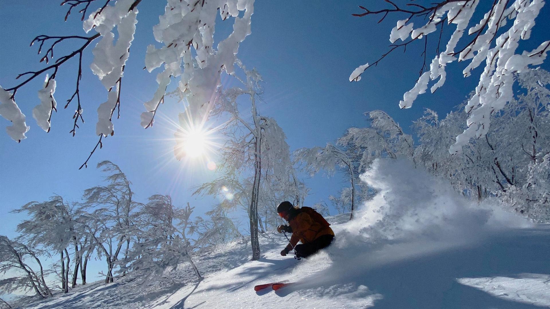 スキー・スノーボード系インフルエンサー必見！2024-2025 アライスノーリゾート公認アンバサダー募集