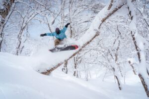 日本最大級のリゾート「ネコマ マウンテン」に、東京ドーム4個分の