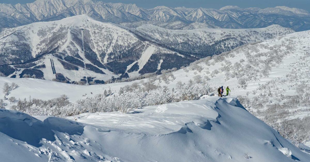 DYNAFIT (ディナフィット)最新モデル＆カタログ｜ブランド紹介