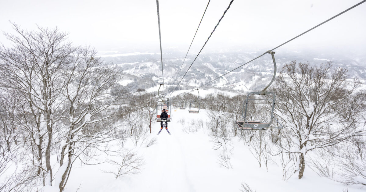 スキーギアレビュー VECTOR GLIDE,OMNIS,MARKER｜浅川誠編 | スキー